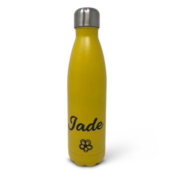 Stainless Steel Water Bottle