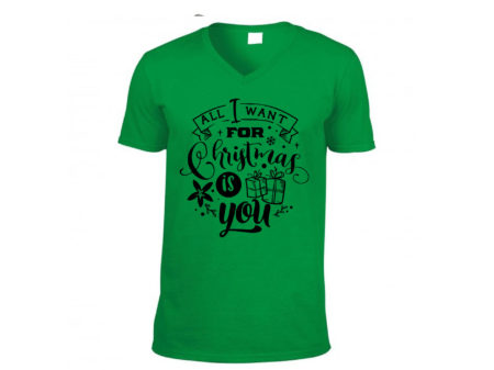 All I Want for Christmas T-shirt